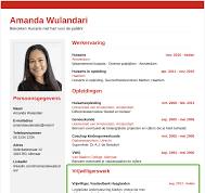 vrijwilligerswerk cv