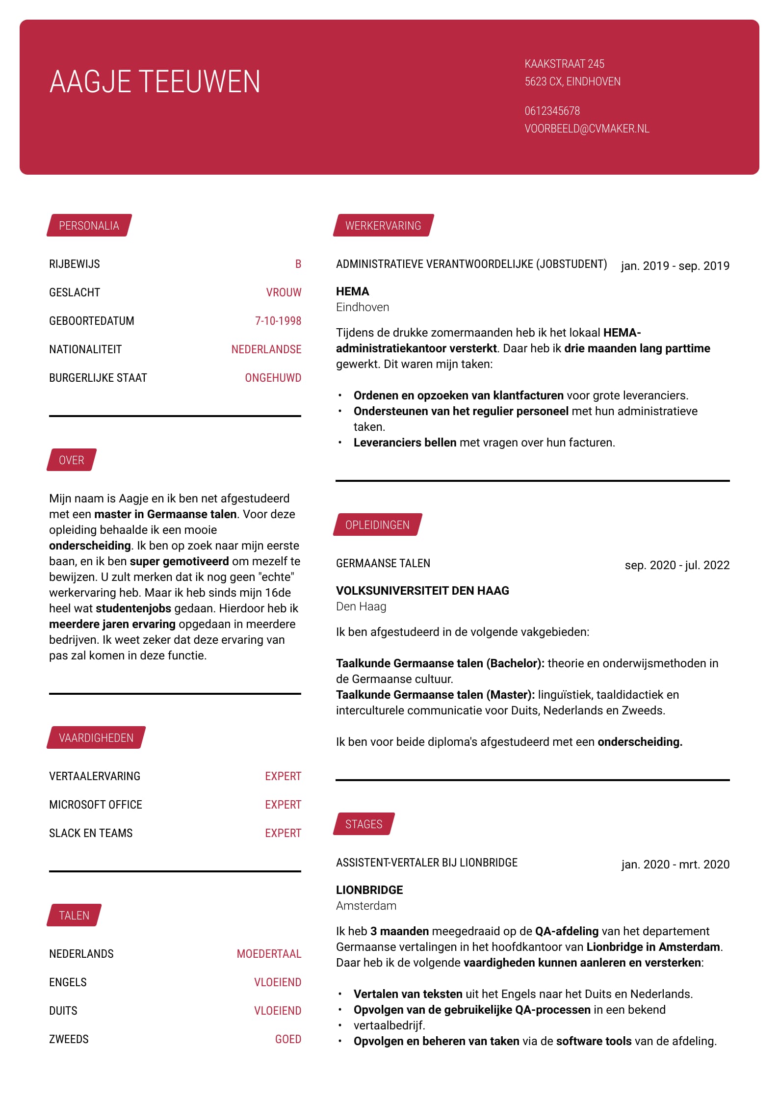 cv vrijwilligerswerk