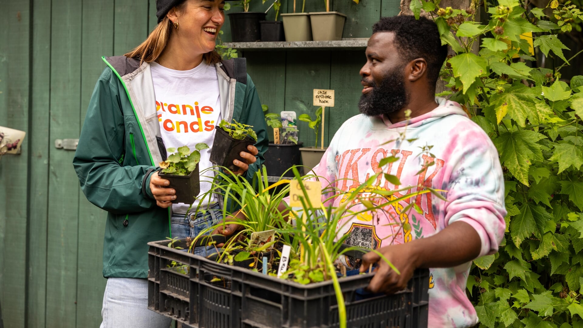 vrijwilligerswerk nl doet