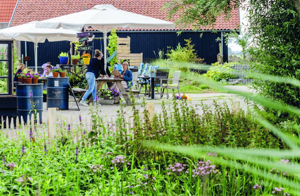 culturele activiteiten