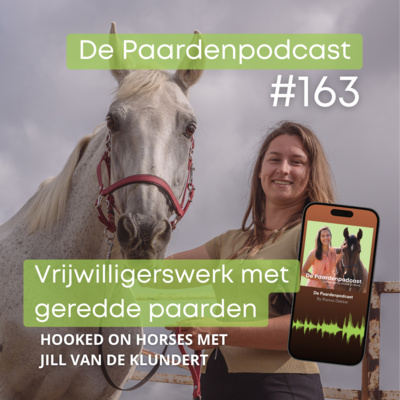 vrijwilligerswerk paarden